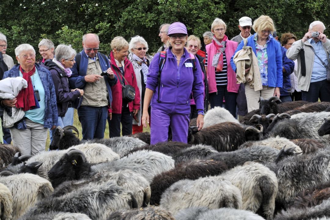 Gästeführering Hella Annecke