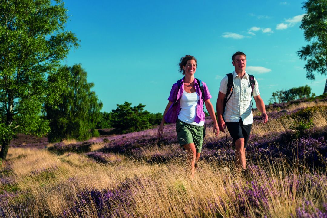 Wandern auf dem Heidschnuckenweg