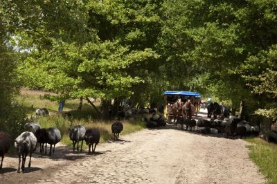 Badehalle im Schwimmbad