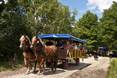 Spaß in der großen Rutsche für jedes Alter