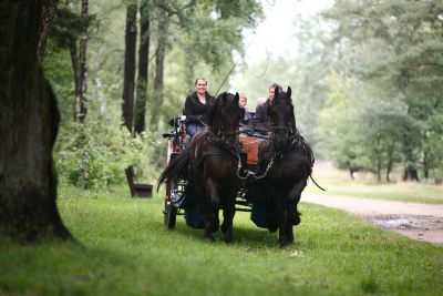 Badegäste beim Aquajogging