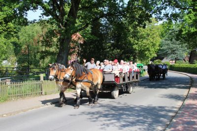 Ferienhof Heins Kutschfahrt im Dorf