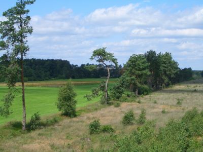 Ole Kerk in Bispingen