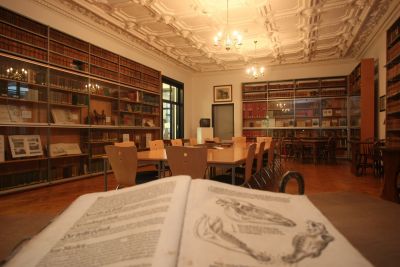 Die Minigolfanlage in Rethem im Aller-Leine-Tal