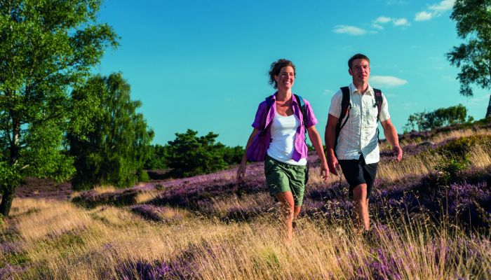 Wandern auf dem Heidschnuckenweg