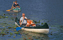 Aller-Radweg im Aller-Leine-Tal