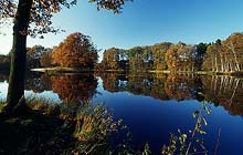 Aller-Radweg im Aller-Leine-Tal