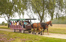 Badehalle im Schwimmbad