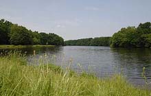 Aller-Radweg im Aller-Leine-Tal