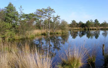 Aller-Radweg im Aller-Leine-Tal