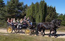 Fachwerkhaus in der Südheide