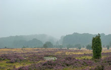 Aller-Radweg im Aller-Leine-Tal