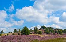 Aller-Radweg im Aller-Leine-Tal