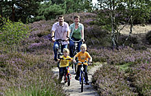 Der Aller-Radweg im Aller-Leine-Tal