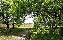 Logo des Aller-Radwegs