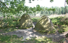 Bockwindmühle in Rethem