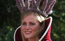 Bockwindmühle in Rethem