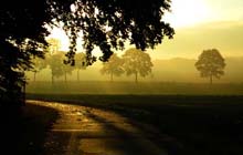 Der Aller-Radweg im Aller-Leine-Tal