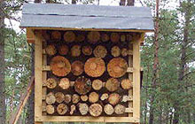 Der Aller-Radweg im Aller-Leine-Tal