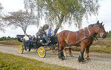 Spaß in der großen Rutsche für jedes Alter