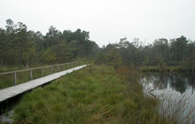 Der Aller-Radweg im Aller-Leine-Tal