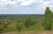 Der Aller-Radweg im Aller-Leine-Tal
