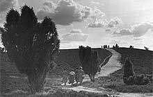 Der Aller-Radweg im Aller-Leine-Tal