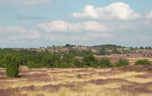 Aller-Radweg im Aller-Leine-Tal
