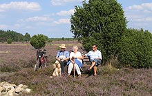 Fachwerkhaus in der Südheide