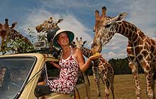 Die Kirche im Urlaubsort Essel