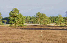 Kleiner Spielplatz im Außenbereich