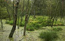 Kleiner Spielplatz im Außenbereich