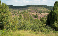 Kleiner Spielplatz im Außenbereich