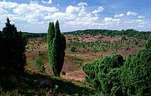 Kleiner Spielplatz im Außenbereich