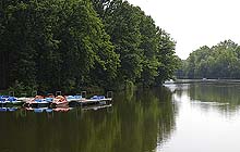 Wanderweg bei Schwarmstedt