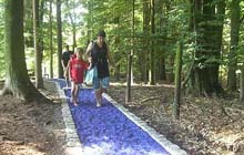 Wanderweg bei Schwarmstedt