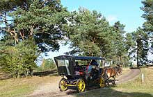 Wanderweg bei Schwarmstedt