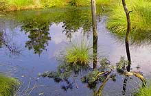 Spaß in der großen Rutsche für jedes Alter