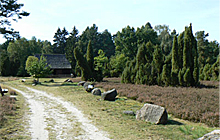 Wanderweg bei Schwarmstedt